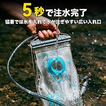 断捨離パイナップル　2個 ドライパイナップル（ハイランド種） 150g : デルタ
